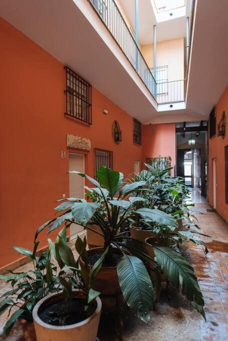 Selecta Elegante Y Centrico Apartamento Siviglia Esterno foto